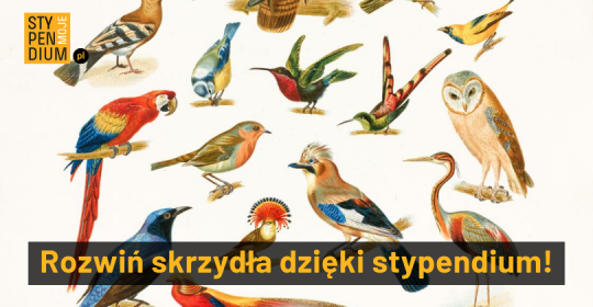 Rozwiń skrzydła z Moim Stypendium!